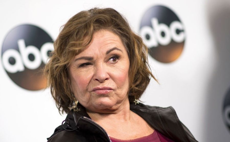 Roseanne Barr Net Worth: From Stand Up Comedy to Television Millions