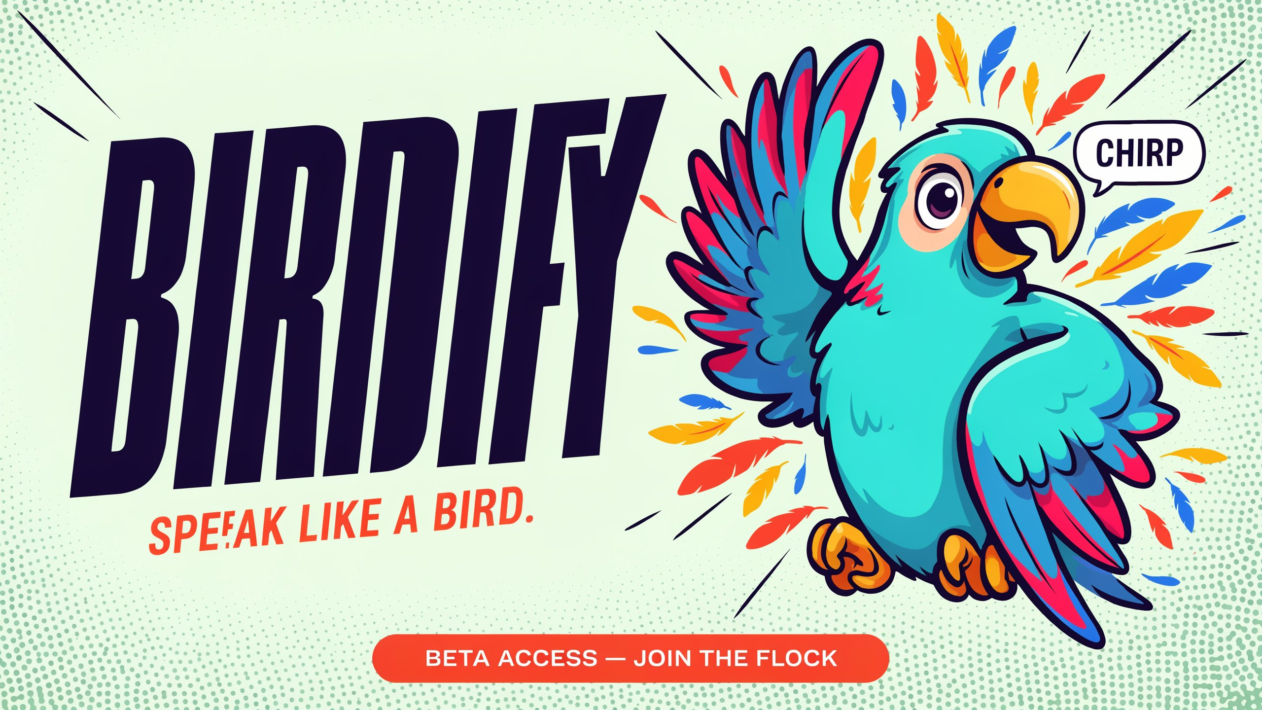 Birdify : How It Works and Why People Are Interested
